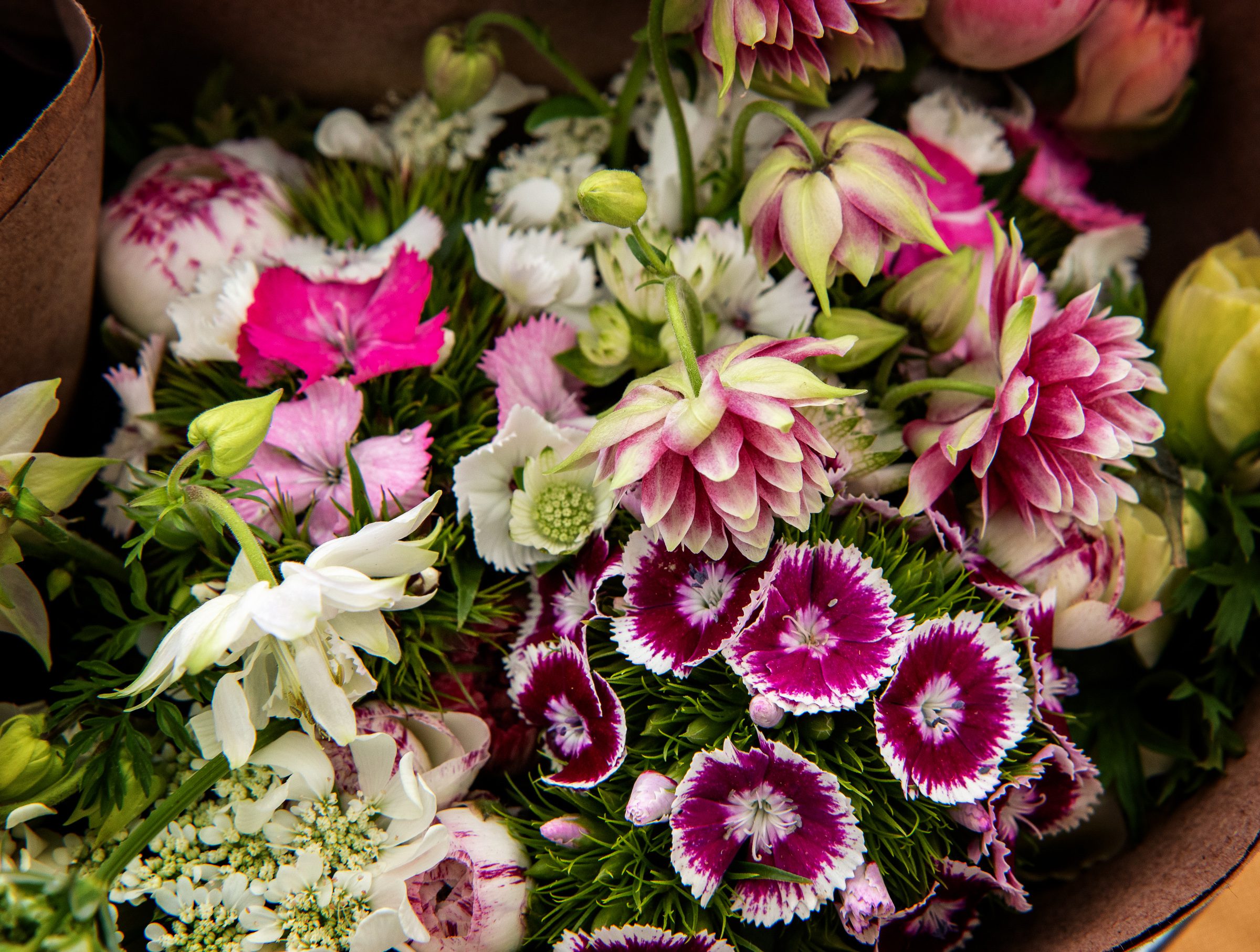 Organic flower farming