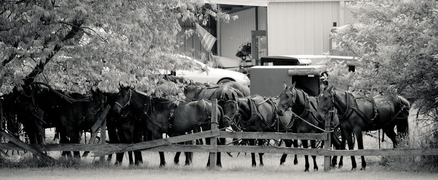 Pennsylvania Amish2539 Pennsylvania Amish2539