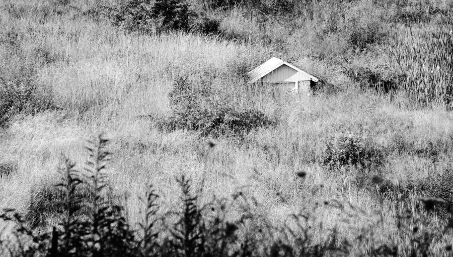 Springhouse-in-Hillside
