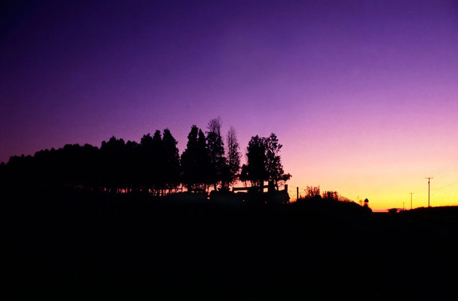 West-From-Shepherd-School