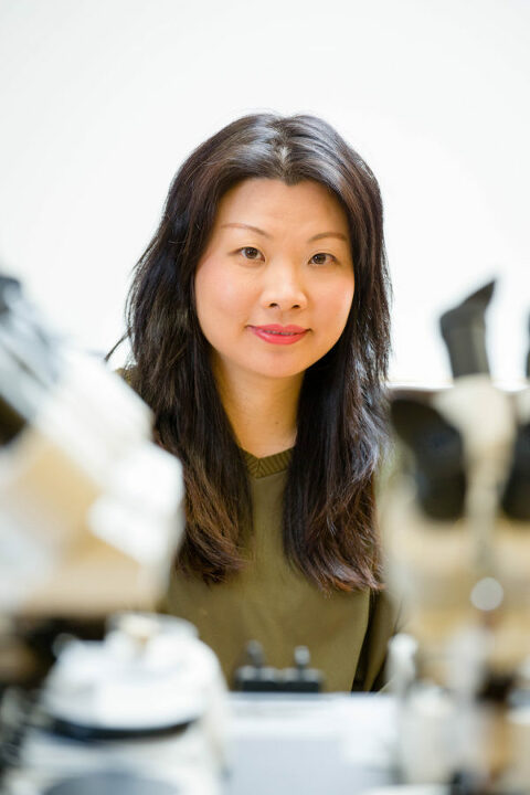 Asian woman scientist with microscopes
